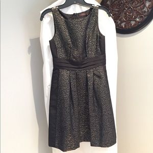 The Limited Cocktail dress- Black and Gold